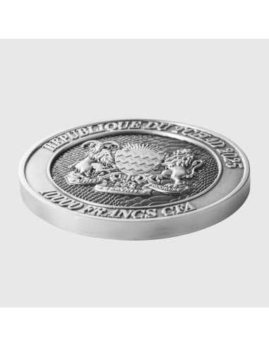 SERPENTE CHE EMERGE DALLA LAGUNA Ciclo Sessagenario Cinese Moneta d'Argento da 2 Oz 10000 Franchi Chad 2025 - Coins & More - ...