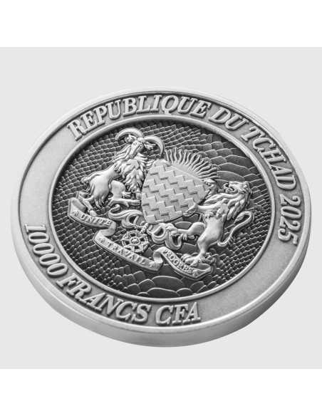 SERPENTE CHE EMERGE DALLA LAGUNA Ciclo Sessagenario Cinese Moneta d'Argento da 2 Oz 10000 Franchi Chad 2025 - Coins & More - ...
