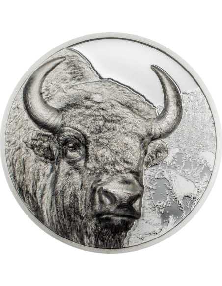 BISON Wild Mongolia 1 Oz Silver Coin 500 Togrog Mongolia 2025 - Coins & More - Mongolie