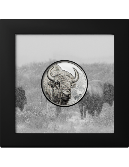 BISON Wild Mongolia 1 Oz Silver Coin 500 Togrog Mongolia 2025 - Coins & More - Mongolie