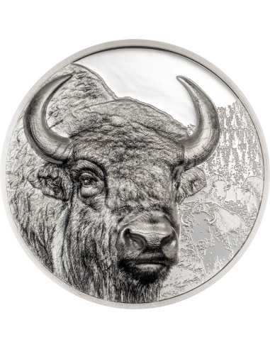 BISON Wild Mongolia 3 Oz Silver Coin 2000 Togrog Mongolia 2025 - Coins & More - Mongolie