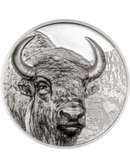 BISON Wild Mongolia 3 Oz Silver Coin 2000 Togrog Mongolia 2025 - Coins & More - Mongolie