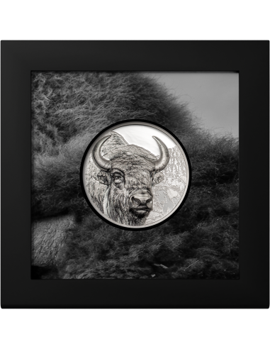 BISON Wild Mongolia 3 Oz Silver Coin 2000 Togrog Mongolia 2025 - Coins & More - Mongolie