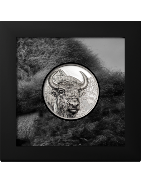 BISON Wild Mongolia 3 Oz Silver Coin 2000 Togrog Mongolia 2025 - Coins & More - Mongolie
