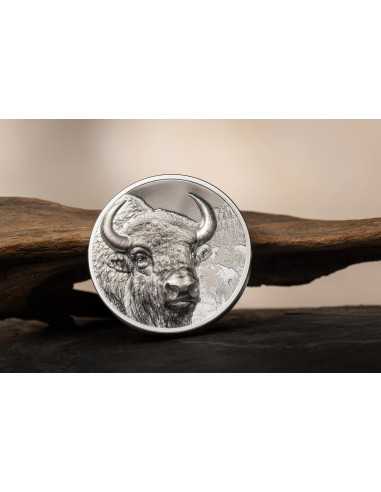 BISON Wild Mongolia 3 Oz Silver Coin 2000 Togrog Mongolia 2025 - Coins & More - Mongolie