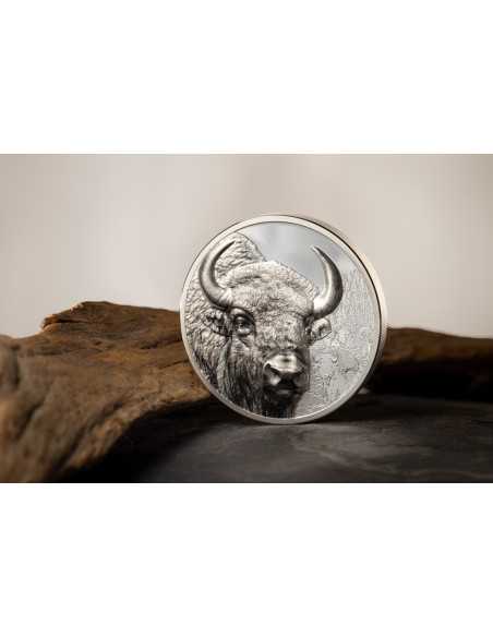 BISON Wild Mongolia 3 Oz Silver Coin 2000 Togrog Mongolia 2025 - Coins & More - Mongolie