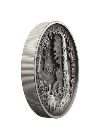 PREDATOR OR PREY IN SHADOW BOX Moneda de Plata 175$ Canada 2025 - Coins & More - Canada