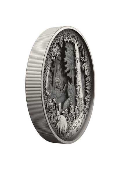 PREDATORE O PREDA IN SCATOLA D'OMBRA Moneta d'Argento 175$ Canada 2025 - Coins & More - Canada