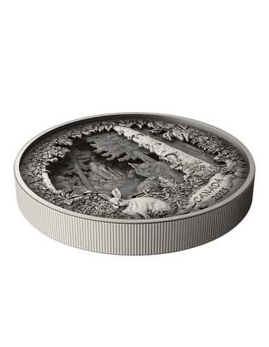 PREDATORE O PREDA IN SCATOLA D'OMBRA Moneta d'Argento 175$ Canada 2025 - Coins & More - Canada