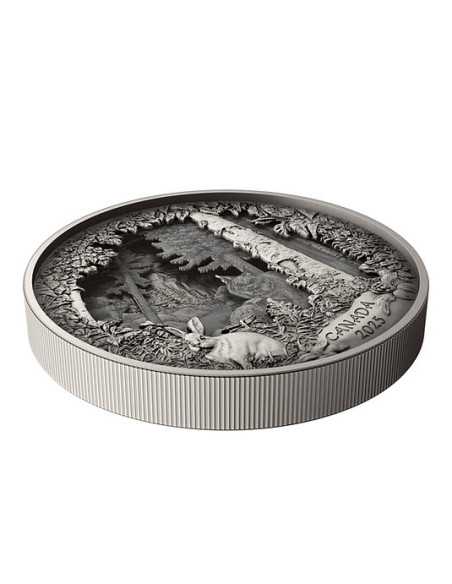 PREDATOR OR PREY IN SHADOW BOX Moneda de Plata 175$ Canada 2025 - Coins & More - Canada