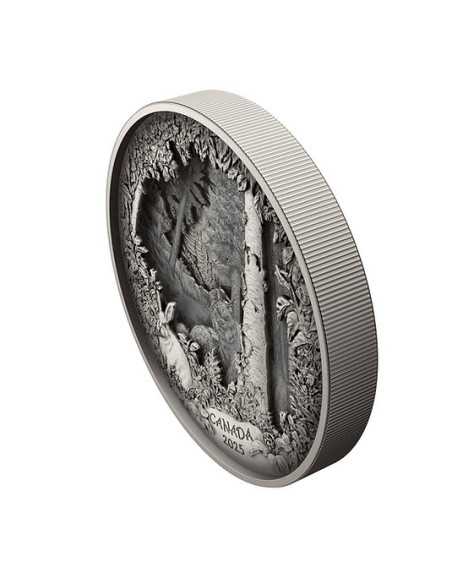 PREDATORE O PREDA IN SCATOLA D'OMBRA Moneta d'Argento 175$ Canada 2025 - Coins & More - Canada