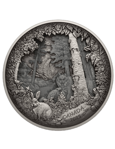 PREDATORE O PREDA IN SCATOLA D'OMBRA Moneta d'Argento 175$ Canada 2025 - Coins & More - Canada