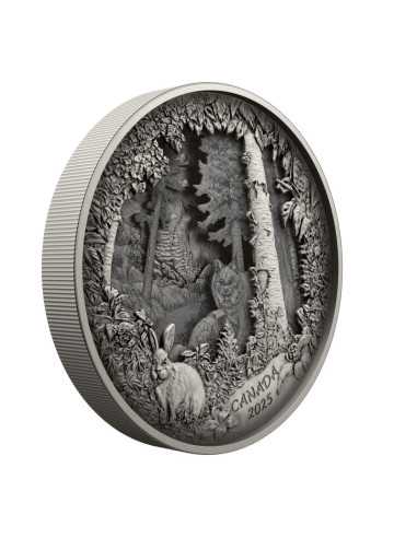 PREDATORE O PREDA IN SCATOLA D'OMBRA Moneta d'Argento 175$ Canada 2025 - Coins & More - Canada