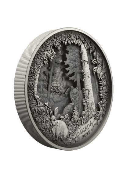 PREDATOR OR PREY IN SHADOW BOX Moneda de Plata 175$ Canada 2025 - Coins & More - Canada