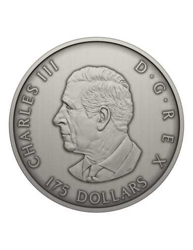 PREDATORE O PREDA IN SCATOLA D'OMBRA Moneta d'Argento 175$ Canada 2025 - Coins & More - Canada