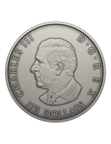 PREDATOR OR PREY IN SHADOW BOX Moneda de Plata 175$ Canada 2025 - Coins & More - Canada