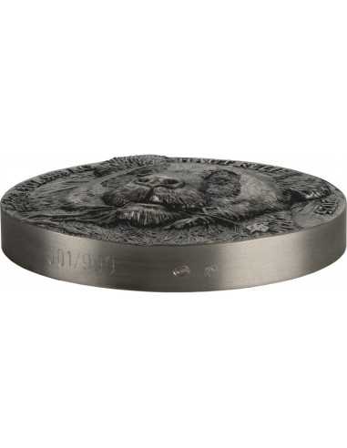 PANDA Big Five Asia Moneta d'Argento da 5 Oz 5000 Franchi Costa d'Avorio 2025 - Coins & More - Costa d'Avorio