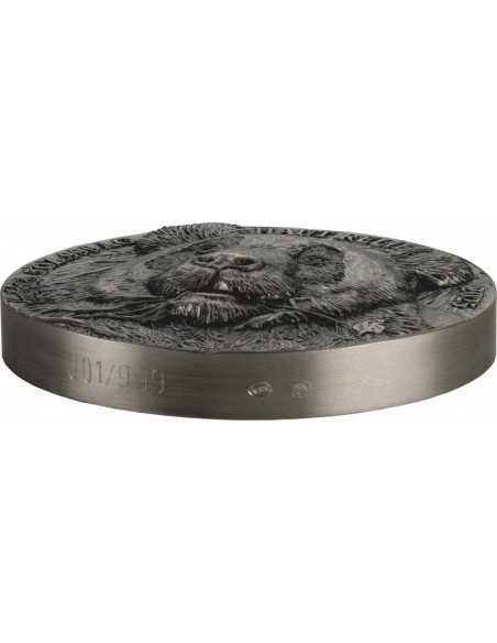 PANDA Big Five Asia Moneta d'Argento da 5 Oz 5000 Franchi Costa d'Avorio 2025 - Coins & More - Costa d'Avorio