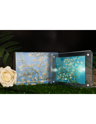 ALMOND BLOSSOM Vincent Van Gogh 1 Oz Silver Coin 1000 Francos Camerún 2025 - Coins & More - Camerún