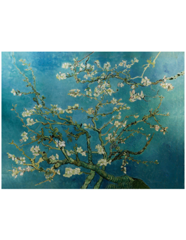 ALMOND BLOSSOM Vincent Van Gogh 1 Oz Silver Coin 1000 Francos Camerún 2025 - Coins & More - Camerún