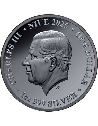 BOTTLENOSE DOLFIN Moneta d'argento da 1 Oz Australia di notte 1$ Niue 2025 - Coins & More - Niue