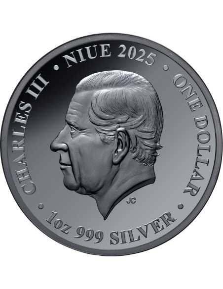 BOTTLENOSE DOLFIN Moneta d'argento da 1 Oz Australia di notte 1$ Niue 2025 - Coins & More - Niue