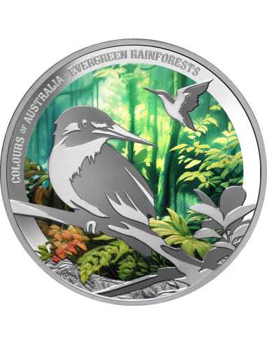 EVERGREEN RAINFOREST Colori dell'Australia 1 Oz Silver Coin 1$ Niue 2025 - Coins & More - Niue