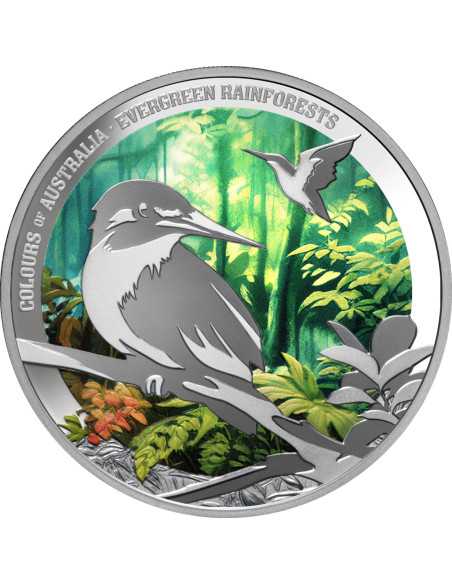 EVERGREEN RAINFOREST Colori dell'Australia 1 Oz Silver Coin 1$ Niue 2025 - Coins & More - Niue