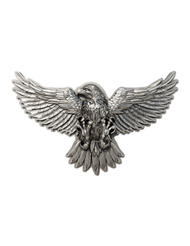 USA BALD EAGLE Moneta d'argento da 2 once antica 2000 franchi Camerun 2025 - Coins & More - Camerun