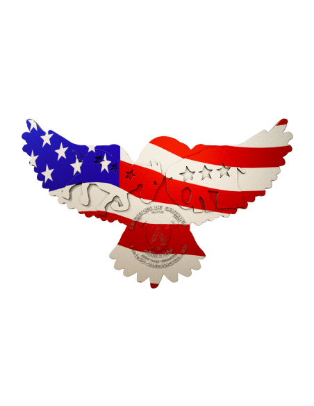 USA BALD EAGLE Moneta d'argento da 2 once antica 2000 franchi Camerun 2025 - Coins & More - Camerun