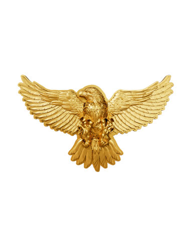 USA BALD EAGLE Gold Vergoldete 2 Oz Silbermünze 2000 Francs Kamerun 2025 - Coins & More - Kamerun