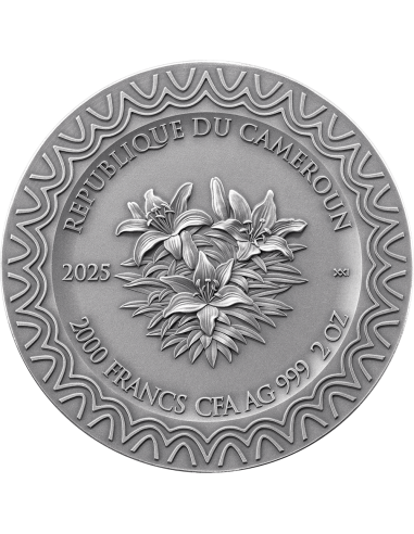AURORA Celestial Beauty 2 Oz Silver Coin 2000 Francs Cameroon 2025 - Coins & More - Cameroun