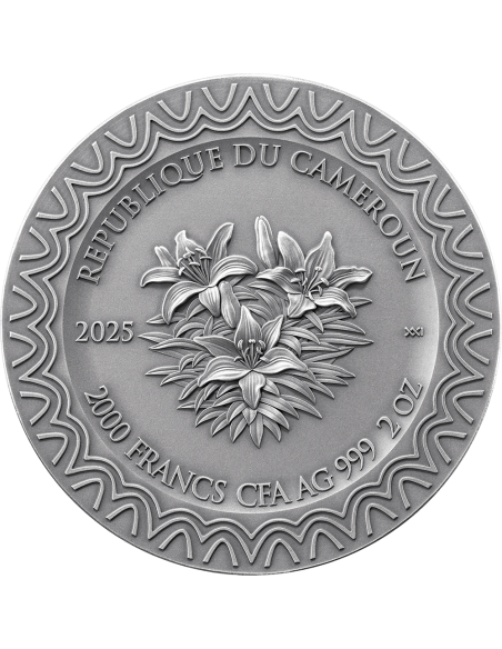 AURORA Celestial Beauty 2 Oz Silver Coin 2000 Francs Cameroon 2025 - Coins & More - Cameroun