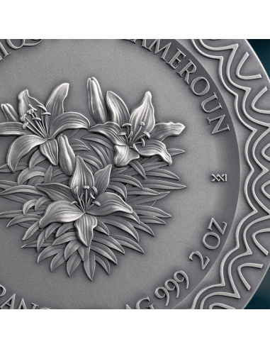AURORA Celestial Beauty 2 Oz Silver Coin 2000 Francs Cameroon 2025 - Coins & More - Cameroun