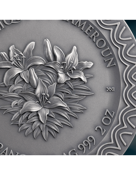 AURORA Belleza Celestial 2 Oz Moneda de Plata 2000 Francos Camerún 2025 - Coins & More - Camerún
