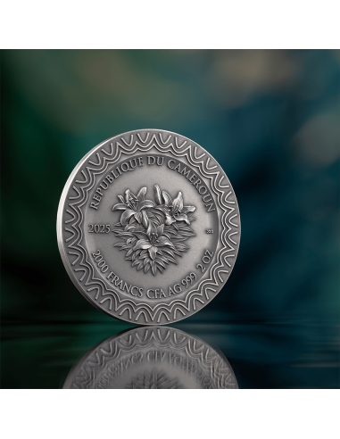 AURORA Celestial Beauty 2 Oz Silver Coin 2000 Francs Cameroon 2025 - Coins & More - Cameroun