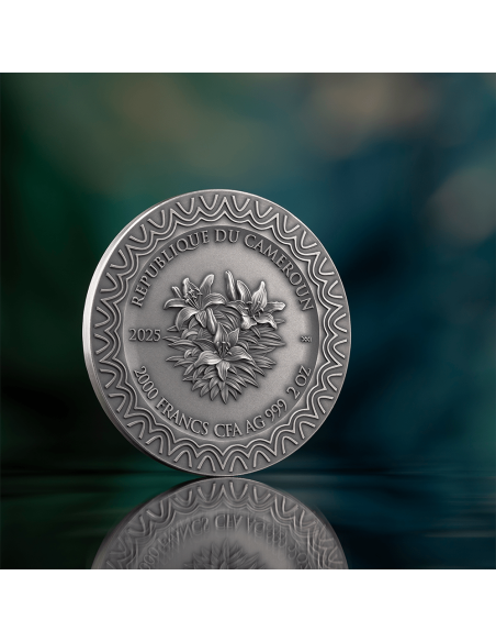 AURORA Celestial Beauty 2 Oz Silver Coin 2000 Francs Cameroon 2025 - Coins & More - Cameroun