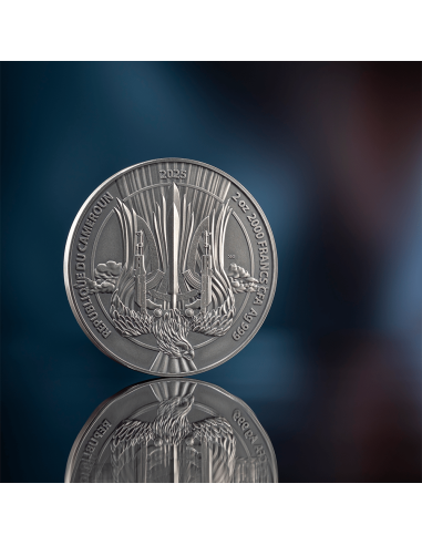 AIR FORCE Guardiani della Libertà Moneta d'Argento da 2 Oz 2000 Franchi Camerun 2025 - Coins & More - Camerun