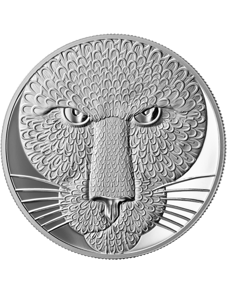 PUMA Binary World 1 Oz Silver Coin 1000 Satoshi United Crypto States 2025 - Coins & More - Monedas por País