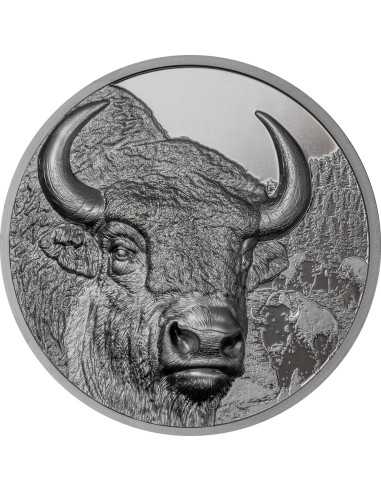 BISON Wild Mongolia 2 Oz Silver Coin 1000 Togrog Mongolia 2025 - Coins & More - Mongolie