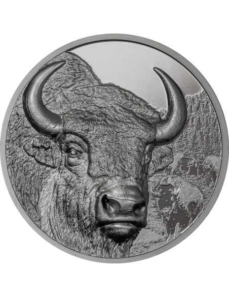 BISON Wild Mongolia 2 Oz Silver Coin 1000 Togrog Mongolia 2025 - Coins & More - Mongolie
