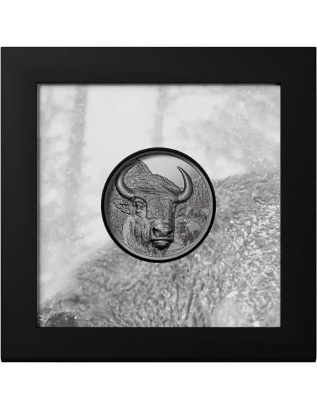 BISON Wild Mongolia 2 Oz Silver Coin 1000 Togrog Mongolia 2025 - Coins & More - Mongolie