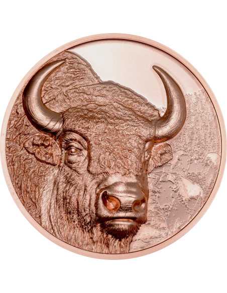 BISON Moneta di rame ariete della Mongolia selvaggia 250 Togrog Mongolia 2025 - Coins & More - Mongolia