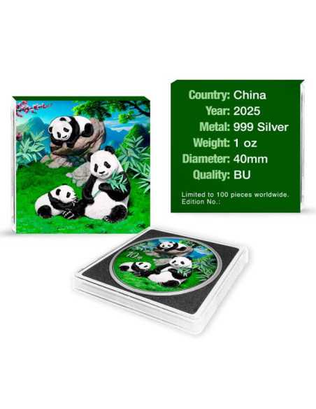 COLORIZED CHINESE PANDA 30g Silver Coin 10 Yuan China 2025 - Coins & More - China