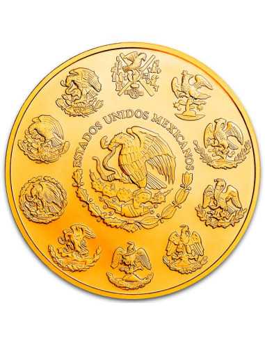 LADY OF GUADALUPE Moneta d'argento dorata da 1 Oz Messico 2024 - Coins & More - Messico