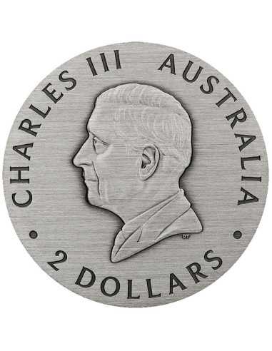 HONEY BEE 2 Oz Silver Coin 2$ Australia 2025 - Coins & More - Australia