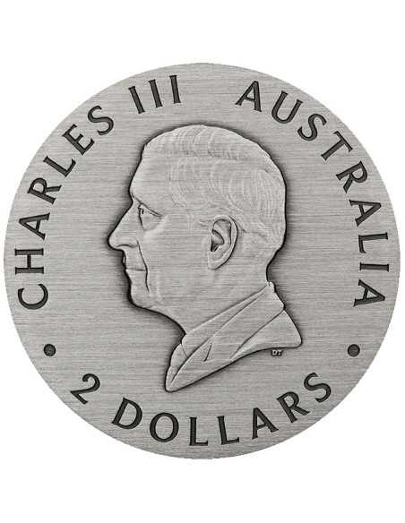 HONEY BEE 2 Oz Silver Coin 2$ Australia 2025 - Coins & More - Australia