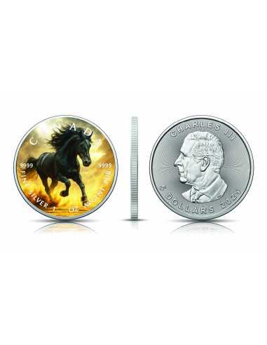 STORMBORN IN THE DUST Nature's Legacy 1 Oz Silver Coin 5$ Canada 2025 - Coins & More - Kanada