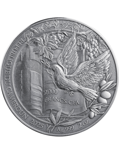 NOAH'S ARK Bible Stories 2 Oz Silver Coin 2000 Francs Cameroon 2025 - Coins & More - Cameroon