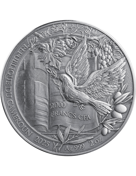NOAH'S ARK Bible Stories 2 Oz Silver Coin 2000 Francs Cameroon 2025 - Coins & More - Cameroon